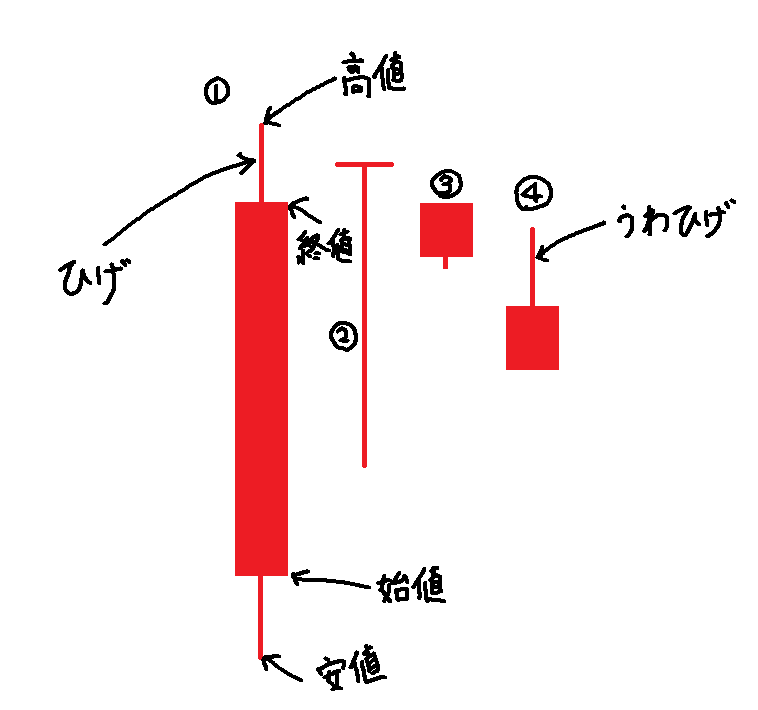 チャートの見かた陽線とは